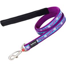 Red Dingo Lead Purple 2