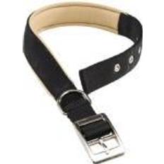 Ferplast Collar Nylon Daytona C Negro Para Perros 37 - 45 Cms