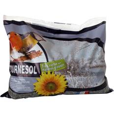 Nourriture pour Oiseaux - Oiseaux et Insectes Animaux de compagnie Sunflower Seed