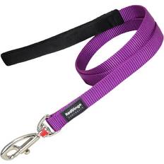 Red Dingo Lead Purple