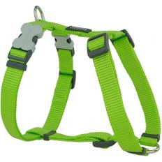 Red Dingo "Hundsele 60-109 Lime"