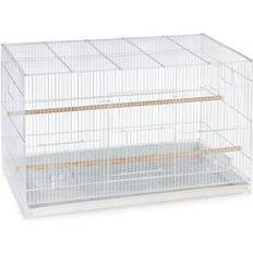 Pets Pet Products Small Bird Flight Cage, White