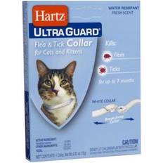 Flea collar for cats Hartz UltraGuard Flea & TIck Collar for Cats Kittens