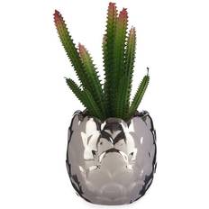 Dekorativ plante Sølvfarvet Kaktus Keramik Plastik (8 x 20 x 8 cm) Kunstig plante