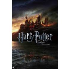 Harry Potter And The Deathly Hollows