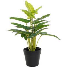 Dkd Home Decor Dekorativ plante Sort Grøn PVC PP Iris (25 x 25 x 30 cm) Kunstig plante