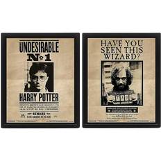 Harry Potter 3D Lenticular Poster 26 x 20