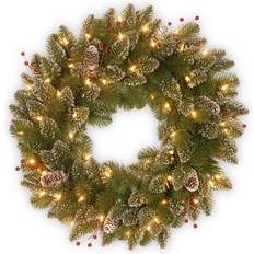 National Tree Company 24 in. Glittery Mountain Spruce Artificial Wreath Decorative Item