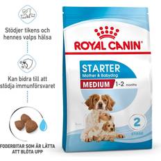 Royal canin mother & babydog Royal Canin Medium Starter Mother & Babydog 4 kg Croccantini