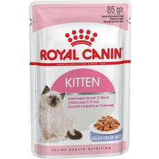 Royal Canin Cats - Wet Food Pets Royal Canin Kitten In Jelly Wet 85g