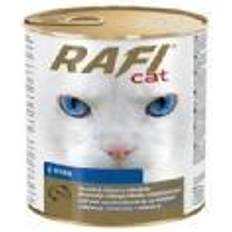 DOLINA NOTECI Rafi Cat with fish
