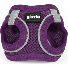 Gloria Harness Air Mesh Trek Star Adjustable