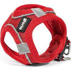 Harness Air Mesh Trek Star Adjustable