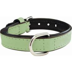 Gloria collar Padded