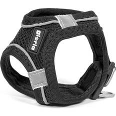 Gloria Harness Air Mesh Trek Star Adjustable