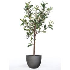 Emerald Olive Artificial Plant