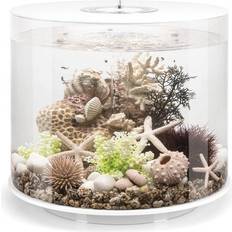 Biorb TUBE 35