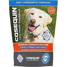 Msm for dogs Cosequin DS Maximum Strength Plus MSM