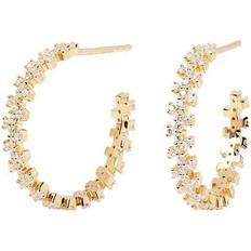 Pdpaola Crown Earrings - Gold/Transparent