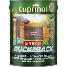 5 Year Ducksback