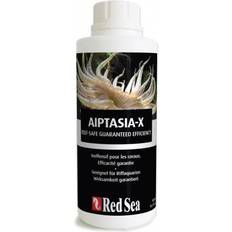 Red Sea Aiptasia-X refill 500ml