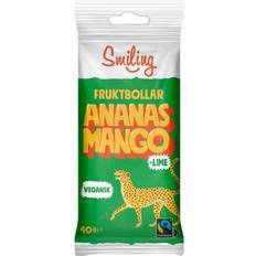 Fruit Balls Ananas, Mango and Lime 40g
