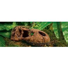 Exo Terra T-Rex Skull Reptile Terrarium DÃ©cor