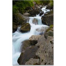 Wall Decorations Trademark Fine Art PSL0330-C1624GG "Wet Rocks" by Philippe Sainte-Laudy 24" x 16" Frameless Photo Frame