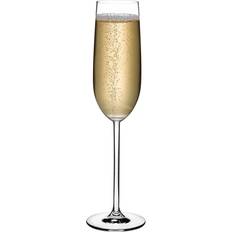 Nude Glass Vintage Champagne Glass 2pcs