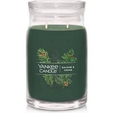 Multicolored Scented Candles Yankee Candle Balsam & Cedar Scented Candle 20oz