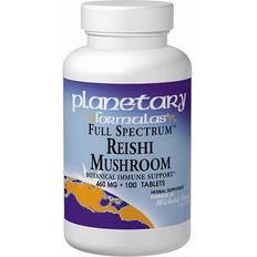 Vitamins & Supplements Planetary Herbals "Reishi Mushroom 460mg Full Spectrum 100 tabs