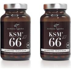 KSM-66