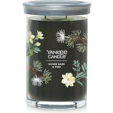 Yankee candles Yankee Silver Sage & Pine Signature 22-oz. Jar, Multicolor