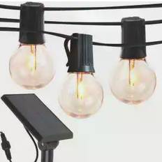 Fairy Lights & Light Strips Brightech Ambience Pro Black Fairy Light 12 Lamps
