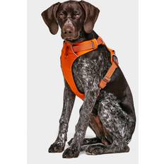 Ruffwear front range Ruffwear Ruffwear FRONT RANGE HARNESS S