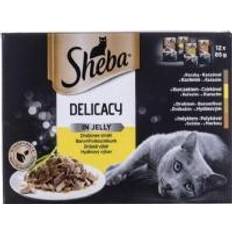 Sheba kattemad Sheba Del in Jelly Poultry Flavors 12x85g