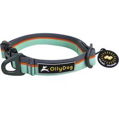 OllyDog OllyDog Flagstaff Collar Surf Large