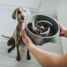 Ciotola Per Cani Melammina Hunter - Multi-Colore