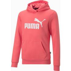 Puma Essentials Logo JR huvtröja Wash Barn