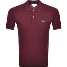 Lacoste polo Lacoste Polo Classique Chiné L1264 Manches Courtes Bordeaux