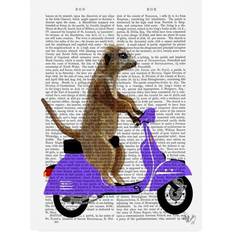 Wall Decor Trademark Fine Art Meerkat on Lilac Moped Wall Decor 35x47"