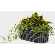 Korbo Korbo Balcony Basket, galvaniseret stål Kurv