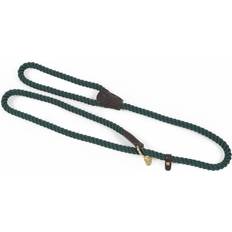 Digby and Fox Rope Lead