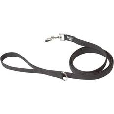 Mascotas Correa Engomada Julius-K9 Con ASA 14 mm x 2 m - Black