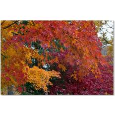 16 x 24 canvas Kurt Shaffer 'Autumn Explosion' Canvas 16 x 24 one size