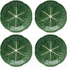 Cabbage