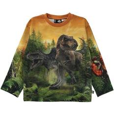 Molo Mountoo - Dino Forest (6W22J211-7921)