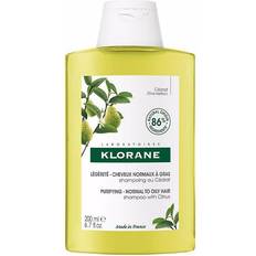 Klorane Hair Products Klorane Cédrat Purifying and Sebum-regulating Shampoo Quick Regrowth Hair 200ml