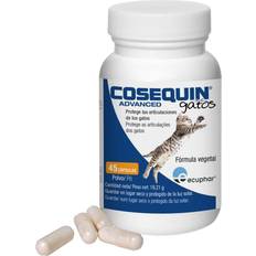Cosequin Cosequin Advanced katt 2