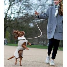 Siccaro Husdjur Siccaro Siccaro WetDog SupremePro